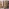 22447 104 Courtyard 02