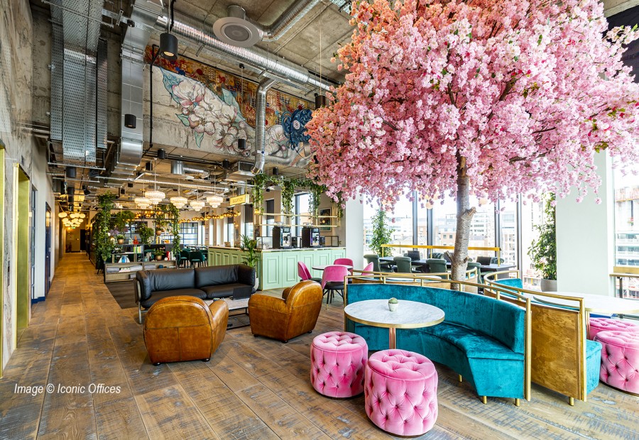  Designing Workplace Experiences Through Wellness