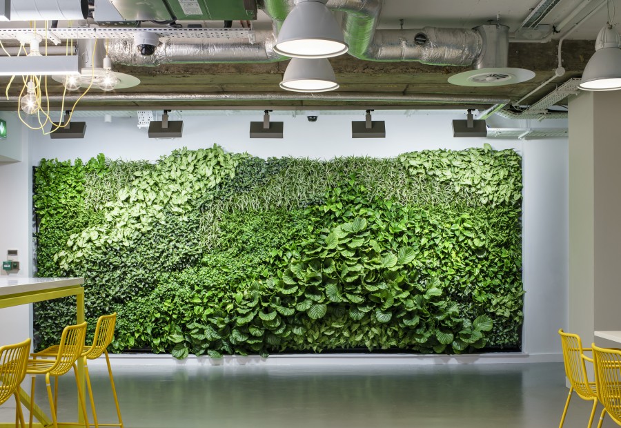 Fitbit Offices