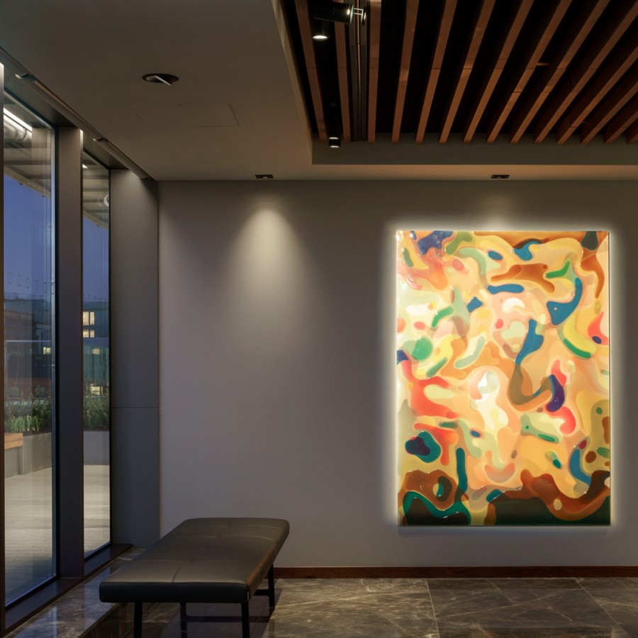 IPUT St Stephens Green Lowres 11