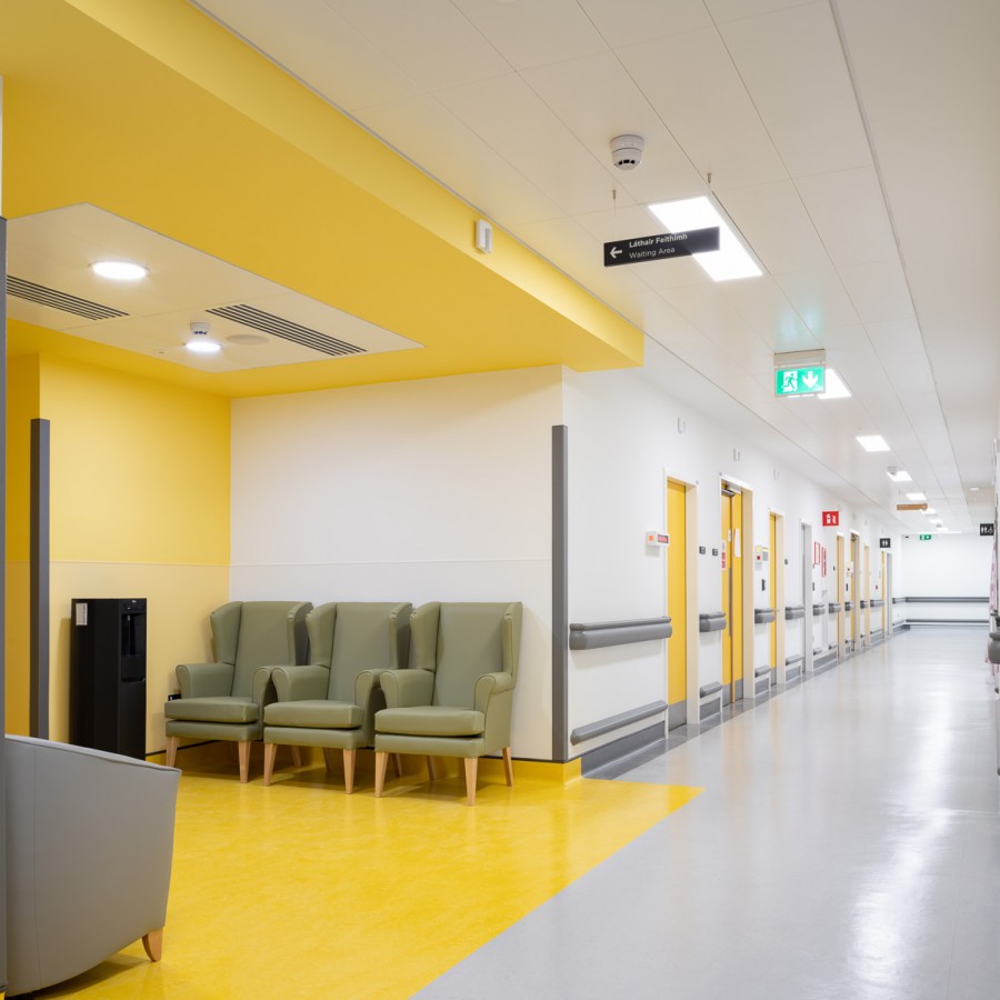 3217 048D Small DonalMurphyPhoto