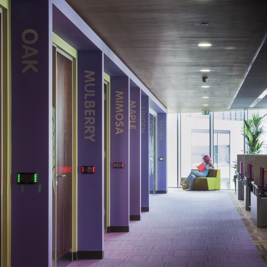 2070 058 d 29075370590 o