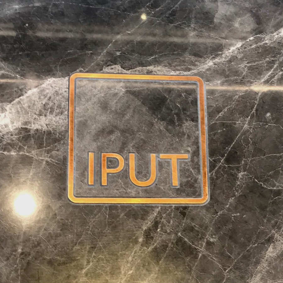 IPUT Bronze Floor Logo Stephens Green