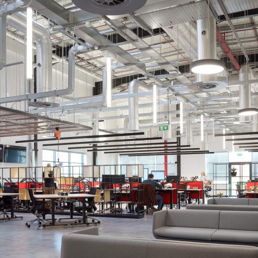 3091 012D Small DonalMurphyPhoto