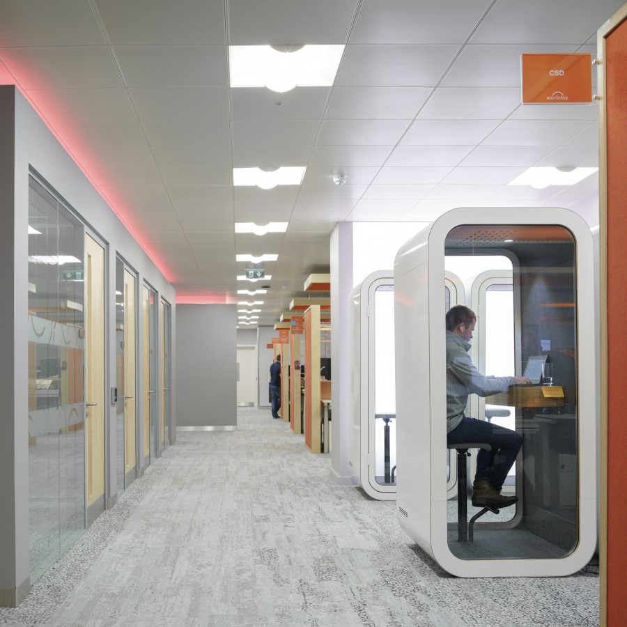 3080 015D DonalMurphyPhoto