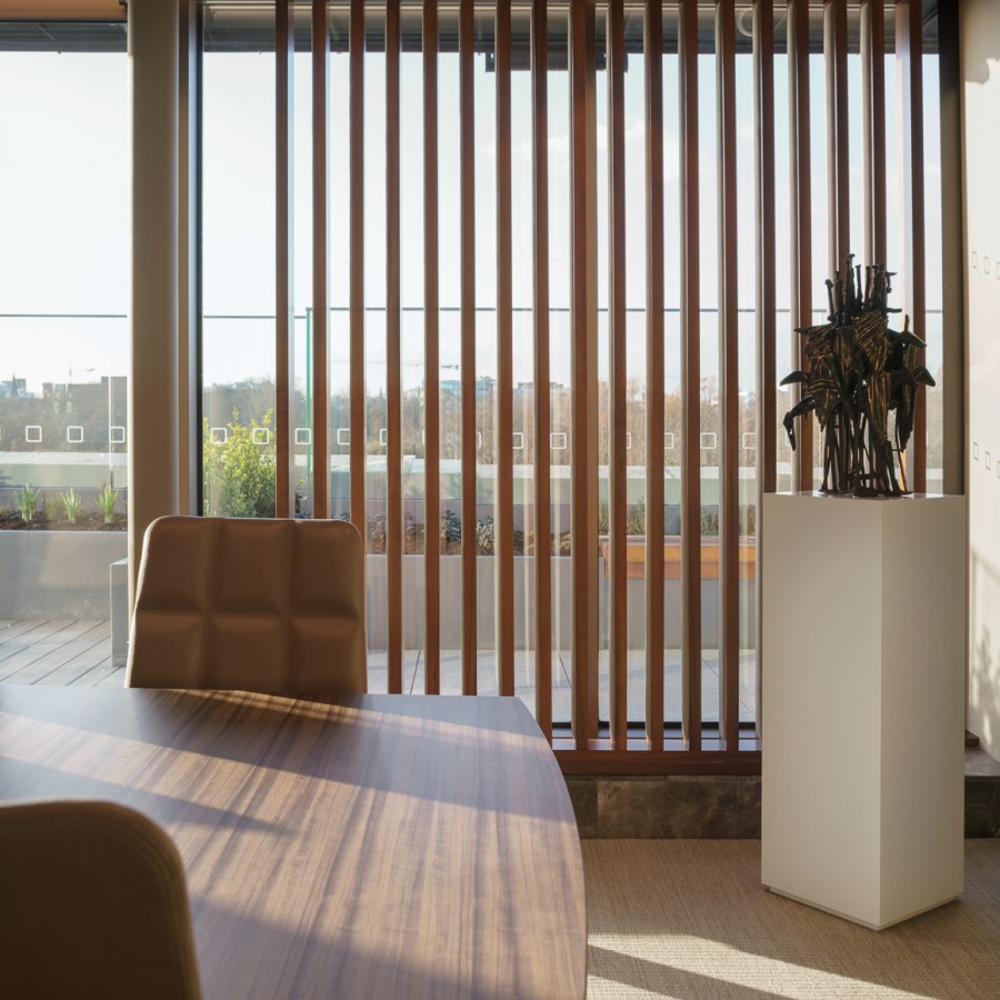 IPUT St Stephens Green Lowres 7